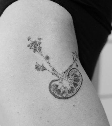 Human Kidney, Anatomy Tattoo, Human Body Organs, Health Tattoo, Human Organ, Unique Tattoo Designs, Love Style, Simplistic Tattoos, Tattoo Design Drawings