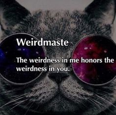 Weirdmaste: The weirdness in me honors the weirdness in you. yoga quote, funny Inspirational Memes, Yoga Quotes, Quotes Funny, The Words, Mbti, A Cat, Make Me Smile, Wise Words, Words Of Wisdom