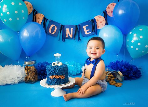 Birthday Photoshoot Ideas Boys, Boy Birthday Pictures, Cookie Monster Birthday Party, Monster First Birthday, Boys 1st Birthday Cake, Monster 1st Birthdays, Cookie Monster Party, Cookie Monster Birthday, Baby Boy 1st Birthday Party