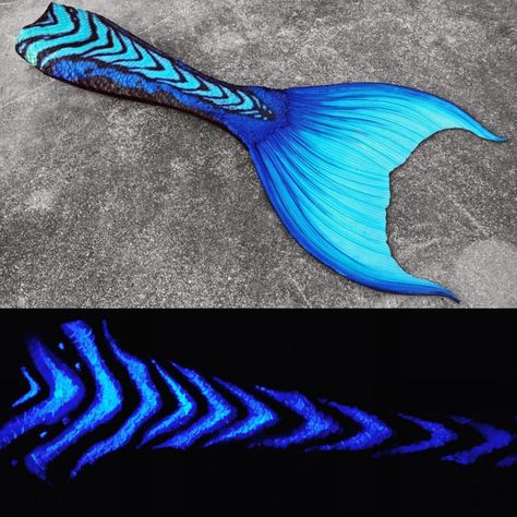 4,163 Likes, 78 Comments - @merbellastudios on Instagram: “Added some glow in the dark (and black light reactive) stripes to this blue babe  #merbella…” Glowing Mermaid, Merman Tails, Realistic Mermaid Tails, Fin Fun Mermaid Tails, Mermaid Swim Tail, Realistic Mermaid, Fin Fun Mermaid, Mermaid Tails For Kids, Mermaid Cosplay