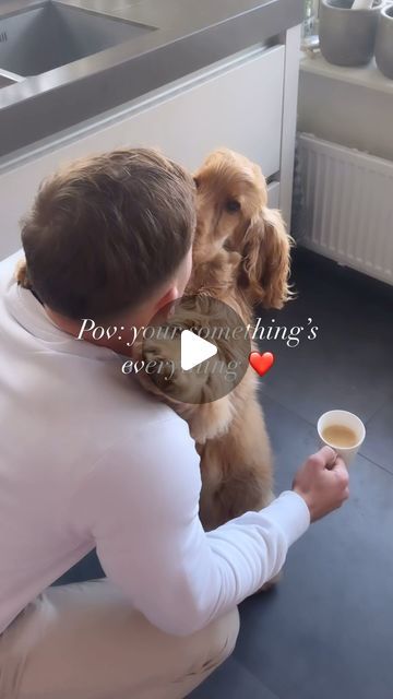 Cody 🦴 on Instagram: "Love my little life with mom & dad 🤎🧸 #cockerspaniel #cockerspanielpuppy #redcockerspaniel #redcockerspanielpuppy #puppy #puppies #cute #fyp #goldencockerspaniel #goldencockerspanielpuppy #goldencocker #aesthetic @cockerspanielworld @cocker.planet @cockerspanielgrams @cocker_ig @cockerspaniel_loverclub @cocker_world" Cocker Spaniel Aesthetic, Golden Cocker Spaniel Puppies, Red Cocker Spaniel, Golden Cocker, Golden Cocker Spaniel, Ugc Content Creator, Puppies Cute, Ugc Content, Cocker Spaniel Puppies