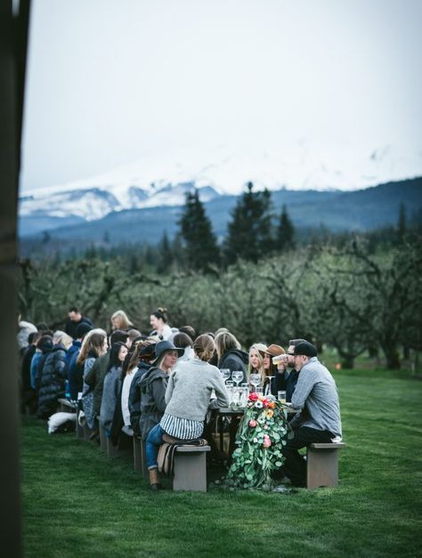 Secret Supper - By Eva Kosmas Flores of Adventures in Cooking Crowded Table, 5 Course Meal, Pop Up Dinner, Course Meal, Group Of People, Jolie Photo, Good Company, A Group, Pacific Northwest