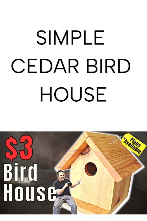 Want to attract more birds to your garden? Build a simple cedar birdhouse that’s both beautiful and functional. Save this pin to bring nature closer to home! Simple Birdhouse Plans, Bird House Plans Free Diy, Simple Birdhouse, Birdhouse Plans, Quick Woodworking Projects, Bird House Plans Free, Diy Birdhouse, Cedar Fence Pickets, Fence Picket