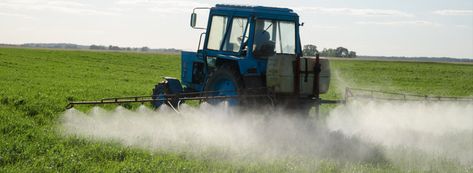 Are glyphosate-based herbicides poisoning us and the environment? - Sustainable Food Trust - Sustainable Food Trust Crop Protection, Agriculture Industry, Food Insecurity, Plant Protection, In Law Suite, Pesticides, Marketing Campaigns, National Geographic, Agriculture