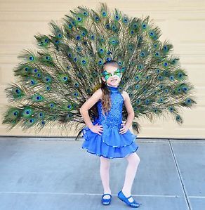 Peacock Halloween Costume Child Small Handmade 5 6 Peacock Costume Kids, Peacock Costume Diy, Peacock Halloween Costume, Peacock Halloween, Old Halloween Costumes, Handmade Halloween Costumes, Fancy Dress Competition, Peacock Costume, Homemade Halloween Costumes