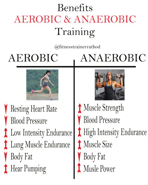 Difference and benefits of aerobic and anaerobic training to be healthy. An Workout, Aerobic Workout, Becoming A Personal Trainer, Aerobic Exercises, Anaerobic Exercise, Exercise Physiology, Compound Exercises, Exercise Workouts, 2 Broke Girls