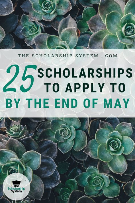 Here is a list of 25 scholarships to apply to by the end of May. Some deadlines are as late as May 31st! Either way, these next few weeks are major deadline weeks, so you don’t want to miss out! Scholarships For College Students, College Essay Examples, College Checklist, School Scholarship, Senior Year Of High School, College Money, Essay Writing Skills, College Essay, Scholarships For College