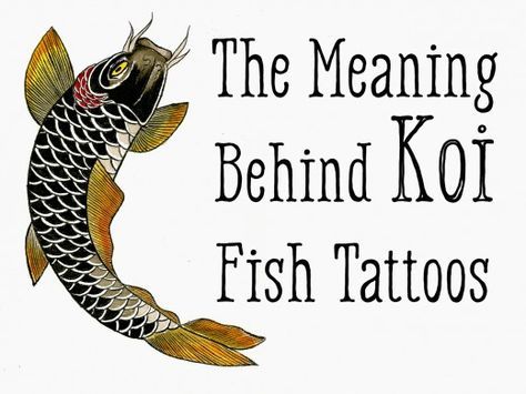 The meaning behind koi fish tattoos of different colors and orientations. Fish Tattoo Meaning, Koi Fish Tattoo Meaning, Coy Fish Tattoos, Koi Fish Tattoos, Koi Fish Colors, Japanese Koi Fish Tattoo, Nikko Hurtado, Tato Ikan Koi, Koi Dragon