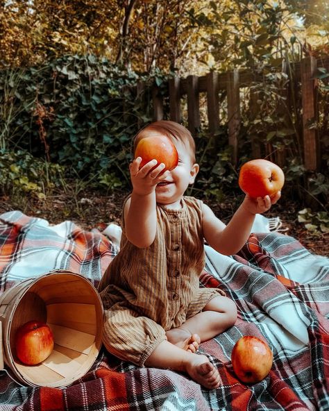 Apple Picking Photoshoot Baby, Apple Baby Photoshoot, Baby Apple Photoshoot, Apple Photoshoot, Apple Picking Photos, Baby Apple, Creative Shoot, Apple Photo, Fall Portraits