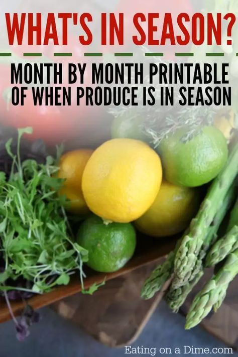 What's in season - A calendar of fruits and vegetables in season. Month by month list of produce in season to help you save money. Fruits And Vegetables In Season, Vegetables In Season, Smart Eating, Season Calendar, Seasoned Veggies, Whats In Season, Money Savers, Fruit Cocktails, Seasonal Food