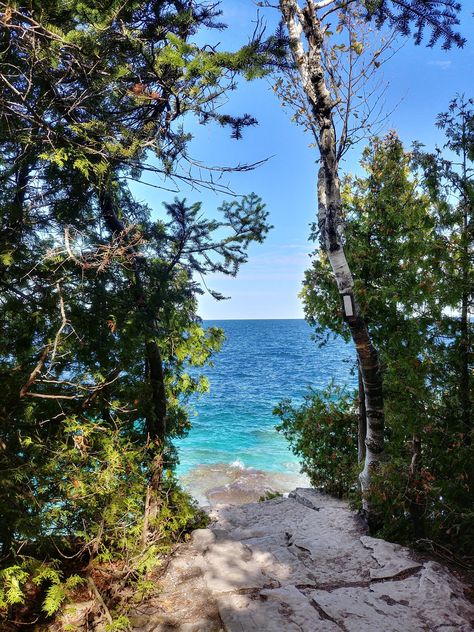 View at the end of the trail. Near Fisherman's Grotto @ Bruce Peninsula National Park Tobermory ON CA. https://ift.tt/2P1ywbP National Park Aesthetic, Bruce Peninsula National Park, Bruce Peninsula, End Of The Trail, Park Aesthetic, Room Colours, Adventure Landscape, Beach Pics, National Parks Trip