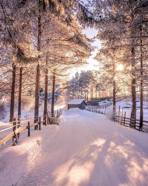 Winters Tafereel, Bright Winter, Winter Photos, Airbrush Art, Winter Scenery, Winter Beauty, Cabin In The Woods, Winter Pictures, Winter Wonder