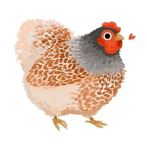 Stephanie Soderberg (@sodapop.draws) • Instagram photos and videos Cute Hen Drawing, Hen Drawing, Chicken Drawing, Chicken Illustration, Chicken Painting, Cute Chickens, Chicken Art, Chickens And Roosters, Wow Art