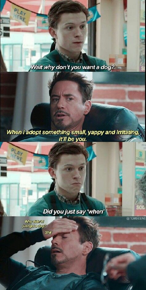 Peter needs a dad... Tony needs a son... *GASP* It's a match made in heaven! Avengers Humor, Laughing Funny, Superhero Memes, Movies Quotes, Funny Marvel Memes, Marvel Quotes, Marvel Avengers Funny, Dc Memes, A Match Made In Heaven