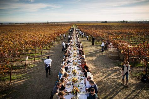 “Farm to table” has become so ubiquitous that’s it’s boring. What is exciting, though, is the growing trend of alfresco dinners in the gardens and vineyards that produced their ingredients. Outstanding In The Field, Stinson Beach, Outdoor Dinner, Farm Tour, Visit California, Long Table, Sonoma County, Farm Table, Wine Country