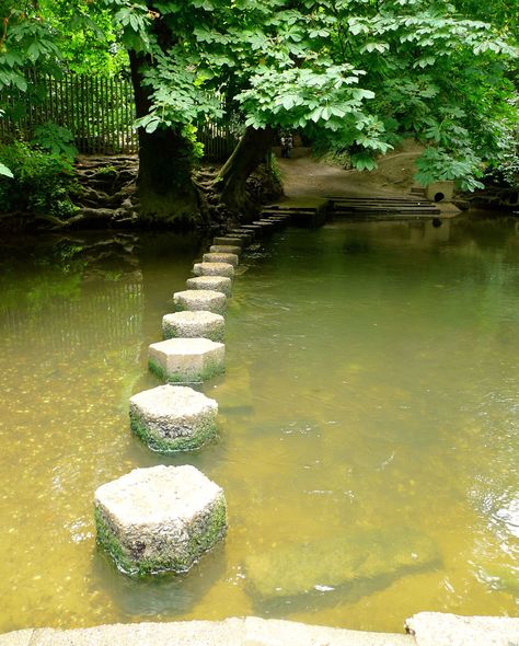 The Stepping Stones walk at Box Hill — Life at 139a Mystery Aesthetic, Forest Backgrounds, Bridge Structure, Box Hill, Camping Hacks Diy, Travel Uk, Forest Background, Weekend Breaks, National Trust