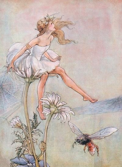 Anachronistic Fairytales Daisy Fairy, Last Knights, Blue Lantern, Fairy Book, Fairy Magic, Flower Fairies, Fairy Land, Illustrations And Posters, Wedding Humor