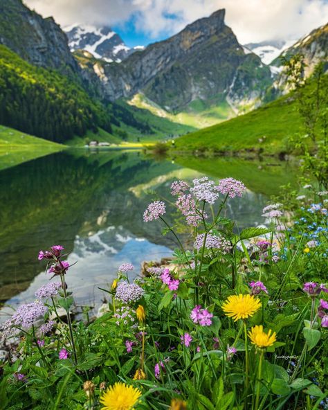 The Seealpsee is at 1141 m above sea level lying lake in the Alpstein area in Switzerland and belongs to the canton of Appenzell Inner… | Instagram Hiking Forest, Sky Reflection, Spring Sky, Forest Landscape, Sea Level, Outdoor Hiking, Rhodes, Clean Water, Guide Book