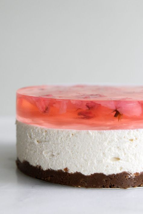 No-Bake Cherry Blossom Jelly Cheesecake Jelly Topped Cake, Cheesecake With Gelatin On Top, Cherry Blossom Jelly, Cheesecake Art, Jelly Cheesecake, Cheesecake Decoration, Cupcake Photography, Most Beautiful Flower, Cherry Blossom Petals