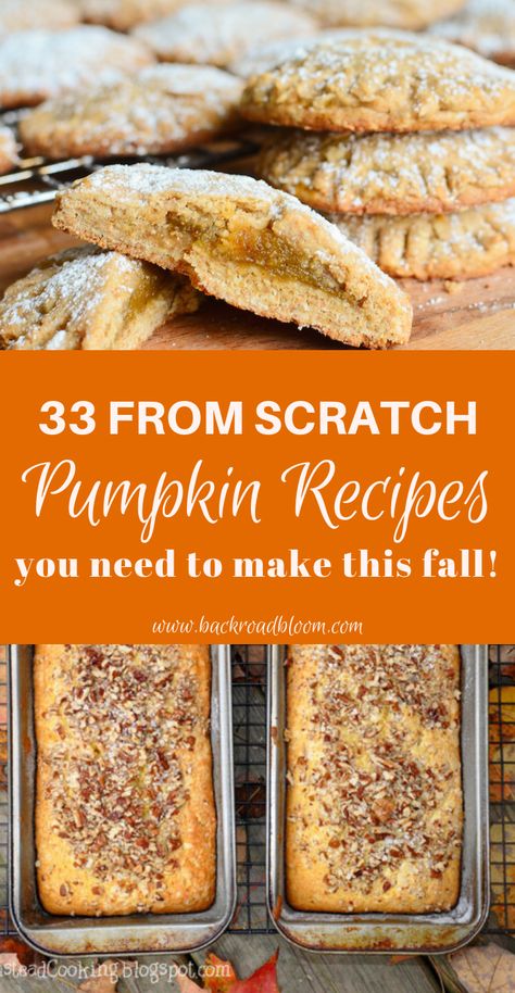 Click now to check out this list of over 30 amazing pumpkin recipes, made from scratch, you can make this fall. Everything from pumpkin granola to pumpkin bread and pumpkin cookies | from scratch recipes | homestead recipes | homesteading ideas | pumpkin recipes | #homesteading #homesteadingideas #homestead #fromscratchrecipes #homesteadrecipes #fallrecipes Fresh Pumpkin Recipes, Canned Pumpkin Recipes, Pumpkin Granola, The Round Up, Pumpkin Recipes Easy, Pumpkin Desserts, Pumpkin Recipes Dessert, Recipes Dessert, Recipe From Scratch