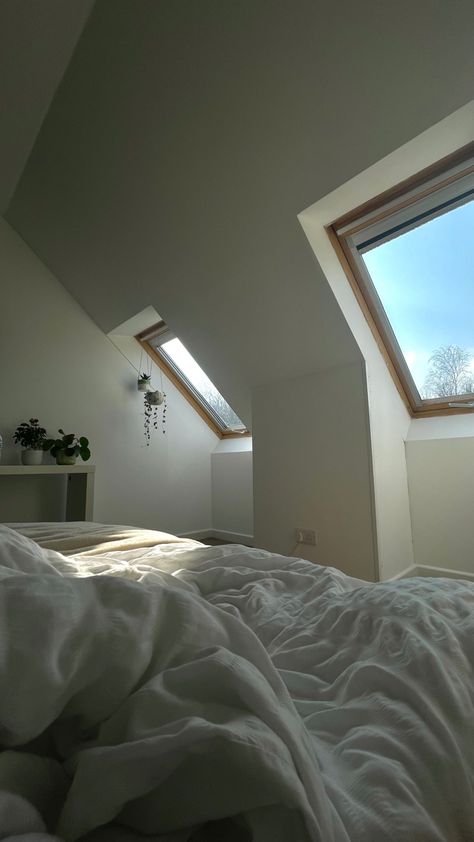 Room With Skylight Window, Big Minimalist Bedroom, Minimalistic Plants, Spring Sky, Skylight Window, Plants Hanging, Bedroom Minimalist, Early Mornings, Window Bed