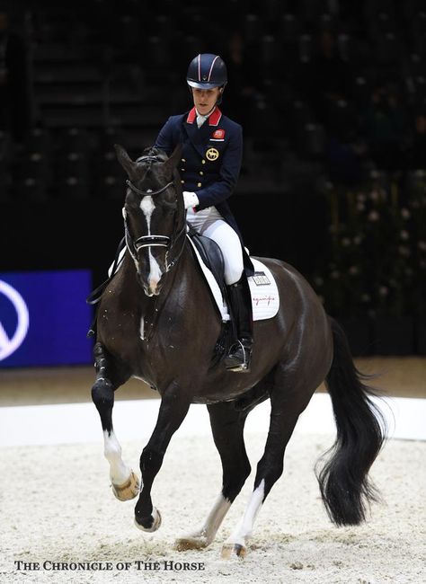 Dressage Photography, Dressage Videos, Charlotte Dujardin, Equestrian Photography, Equestrian Dressage, Horse Pics, Horse Inspiration, Horse Dressage, Reem Acra