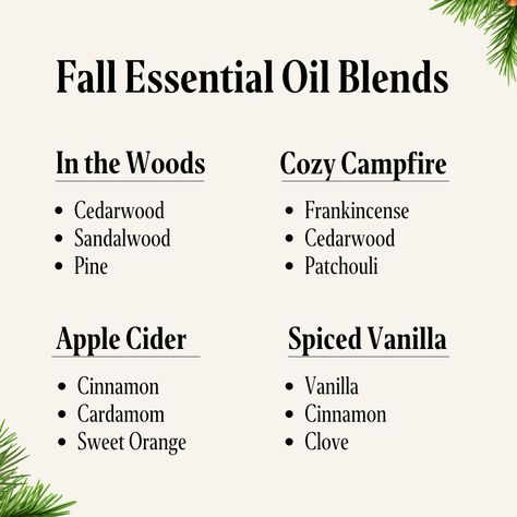 Embracing autumn with four cozy essential oil combinations 🍂 Which blend is your favorite?⁠ ⁠ #FallScents #EssentialOils #NonToxic #Aromatherapy #FallAromatherapy ⁠ Fireside Essential Oil Blend, Cozy Cabin Essential Oil Blend, Fall Essential Oil Perfume Blends, Air Purifying Essential Oil Blend, Cozy Essential Oil Blends, Essential Oil Candle Recipes, Diffuser Oil Blends, Pioneer Living, Essential Oil Aphrodisiac