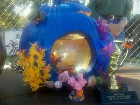 1st place pumpkin. 'Under the Sea'. I painted this pumpkin blue after I cut top top off and a hole on the front side. I then glued coral, plants and other things that I got from the fish department at Petsmart. I had made sure the hole in the top was big enough to allow for the fish bowl. I placed a fish bowl inside the pumpkin and added water and a real fish. I made sure the hole in the front was able to accommodate the look of a real underwater adventure.  It won first place. Pumpkin Fish, Unique Pumpkin Carving, Easy Pumpkin Decorating, Painted Pumpkin Ideas, Pumpkin Inspiration, Pumpkin Decorating Ideas, Creative Pumpkin Decorating, Real Fish, Pumpkin Decorating Contest