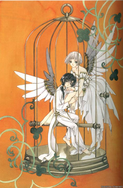 The exhibition of Clamp's works Vol. 2 image by Clamp Clamp Manga, Illustration Manga, The Ancient Magus Bride, Art Manga, Card Captor, Manga Artist, Cardcaptor Sakura, Fanarts Anime, Art Anime