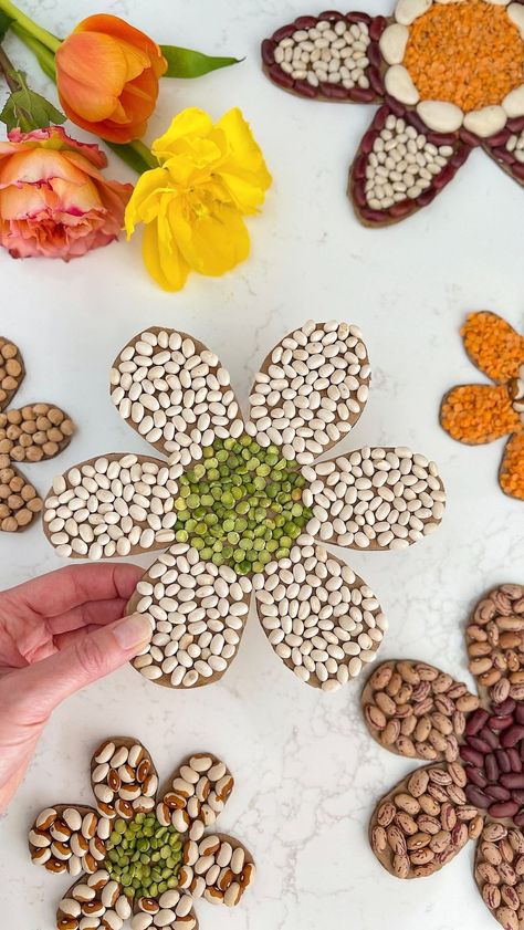 Beans Crafts Ideas, Bean Collage Art For Kids, Activities For 4 Graders, Seed Mosaic Art, Seed Art Preschool, Seed Mosaic For Kids, Bean Art Mosaic, Seed Art Ideas, Bean Art For Kids