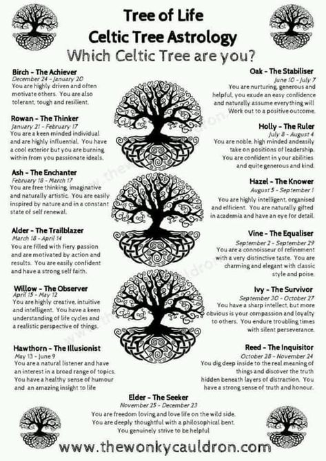 Diy Stick Crafts Branches, Trees And Their Meanings, Animism Symbol, Celtic Druid Aesthetic, Occult Studies, Celtic Tree Astrology, Pagan Tree, Celtic Symbols And Meanings, Celtic Zodiac