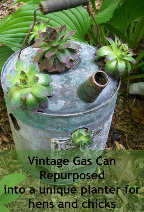 Repurposed vintage gas can used as a planter for hens and chicks. Junk Decorating, Repurposed Containers, Repurposed Planter, Repurposed Projects, Backyard Creations, Homemade Things, Garden Growing, Garden Junk, Watering Cans