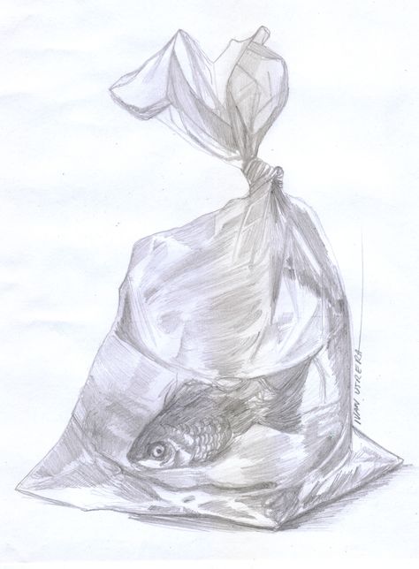 Drawing Bag, Fish In A Bag, Architecture Portfolio, Drawing Sketches, Sketch, Pencil, Portfolio, Humanoid Sketch, Fish