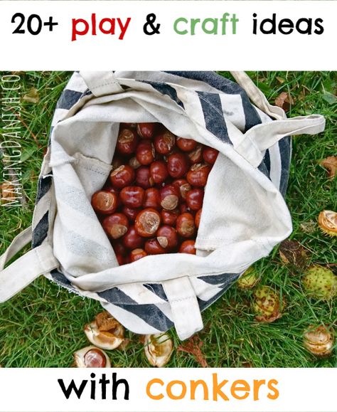 20 fun and easy craft and play ideas with conkers from the horse chestnut tree. There are ideas enough for hours of creativity and fun for kids of different ages. #conkers #nontoxic #kidstun #kidscraft #kidsplayideas #playideas #simpleplayideas #invitationtoplay #lists #horsechestnuts #chemicalfree #preschooler #toddlers #freematerials #bestof #crafting #sensoryplay #outdoorswithkids #indooractivitity Conker Play Ideas, Chestnut Crafts Ideas, Chestnut Activities For Kids, Horse Chestnut Craft, Conker Crafts For Kids, Chestnut Crafts For Kids, Conker Craft Ideas, Conker Crafts, Chestnut Crafts