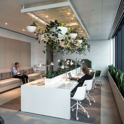 Green Office Decor, Modern Office Design Inspiration, Interior Kantor, Office Design Inspiration, Modern Office Space, Cool Office Space, Modern Office Interiors, Corporate Office Design, Green Office