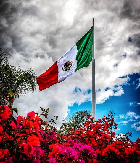 Mexico Wallpaper, Mexico Flag, Dream Vision Board, Canada Flag, Aesthetic Iphone Wallpaper, Country Flags, Wind Sock, Iphone Wallpaper, Flag