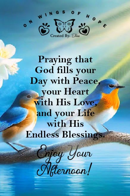 Praying that God fills your day with peace, your heart with His love, and your life with His endless blessings. Enjoy Your Afternoon! life quotes quotes positive quotes quote god life positive quote God Bless My Friend Quote, Blessings For Your Day, Spiritual Peace Quotes, Enjoy Your Day Images, Friend Blessing Quotes, Blessed Day Quotes Inspirational, Afternoon Quotes Inspiration, Sunday Afternoon Blessings, Afternoon Blessings Quotes