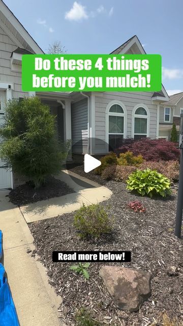 Green Muscle Landscaping on Instagram: "Do these 4 things things before you mulch!🔥

But first, save this reel to come back to later.💯

✅ Remove all weeds and debris from you beds
- Old layered mulch that’s accumulating 
- Weeds 
- Branches, leaves, sticks, etc. 

✅ Use a pre-emergent like @preenweedcontrol to prevent future weeds. I like to put this down before mulch. I also like to water the granules in which is a step I feel some miss. 

✅ Use a spade shovel, half moon edger, or any type of hand edger to give your beds a deep clean edge. This gives you clear separation between your lawnand garden beds. 

✅ I like to give the beds one more rake to make sure the surface is clean and smooth to ensure a even texture when the mulch is spread. 

⚡️When spreading the mulch I dump wheelbarrow Mulch Beds In Front Of House, Mulch Bed Edging, Mulch Alternative Ideas, Black Rubber Mulch, Mulch Alternatives, Driveway Edging, Garden Mulch, Gardening Indoors, Rubber Mulch