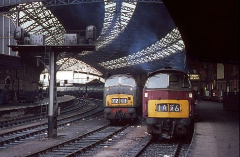 Diesel Poster, Live Steam Locomotive, Steam Trains Uk, Great Western Railway, Train Posters, Steam Railway, British Railways, Rail Transport, Western Region