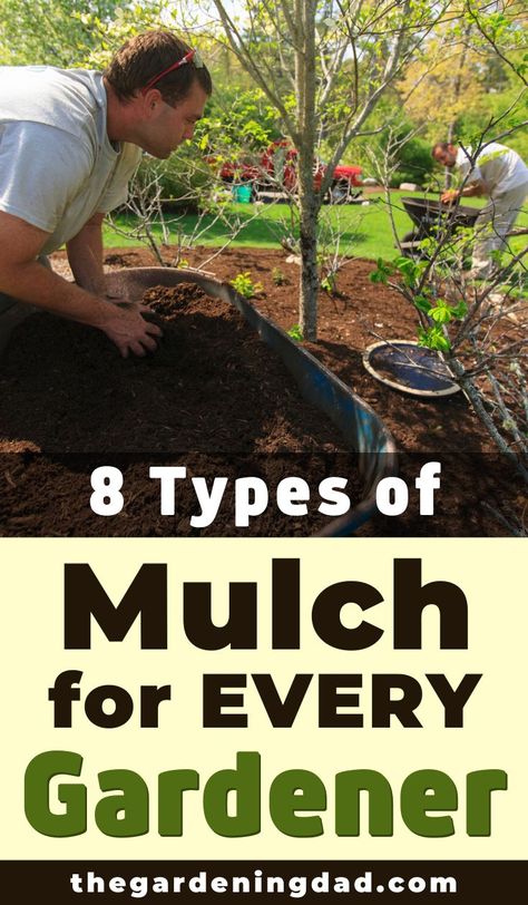 Vegetable Garden Mulch, Garden Mulch, Types Of Mulch, Moonshine Recipes, Wood Mulch, Types Of Herbs, Backyard Gardening, Different Types Of Flowers, Garden Types