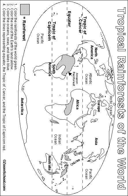 Rainforest Worksheets, Rainforest Map, Rainforest Classroom, Rainforest Project, Rainforest Activities, Rainforest Biome, Rainforest Habitat, Rainforest Theme, Safari Camp