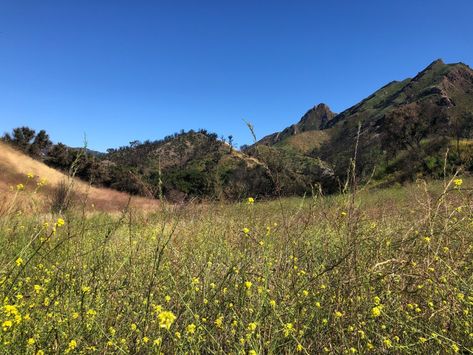 Exploring Malibu Creek State Park Malibu Creek State Park, Santa Monica Mountains, Travel California, Canyon Road, Malibu California, Pacific Coast Highway, Inspo Board, Downtown Los Angeles, Day Hike