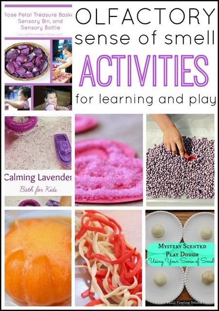 These olfactory sense of smell sensory play activities and sensory play ideas use scented sensory play to calm or stimulate the senses! Sensory Play Ideas, Scented Play Dough, Senses Activities, Sensory Diet, Sense Of Smell, Science Activities For Kids, Preschool Science, Kids Sensory, Play Ideas