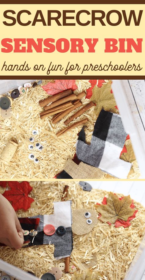 Scarecrow Sensory Bin, Preschool Scarecrow, Build A Scarecrow, Fall Sensory Bin, Fall Sensory, Halloween Breakfast, Preschool Fall, Reggio Classroom, October Activities