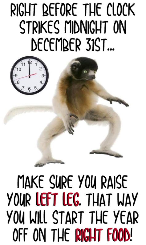 Right before the clock strikes midnight on December 31st... Make sure you raise your left leg. That way you will start the year off on the right food! HAPPY NEW YEAR! December 31 Quotes New Years, 31 December Quote New Years, 31st December Quotes, Clock Strikes Midnight, December Quotes, 31st December, Portraits Art, Happy New Years Eve, Good Morning Roses