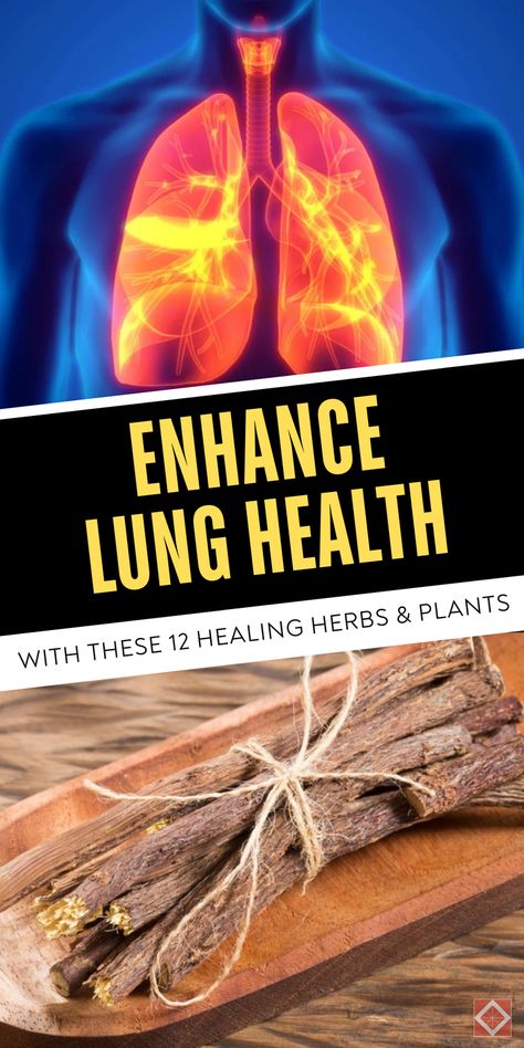 Discover the top 12 healing plants and herbs for healthy lungs. Learn how to grow these natural remedies in your garden to support respiratory health. Save this pin for a lung-friendly garden guide! Lungwort Benefits, Lung Health Remedies, Herbs For Lungs, Herbs For Lung Health, Herbs Plants, Lung Health, Healthy Lungs, Lungs Health, Healing Plants