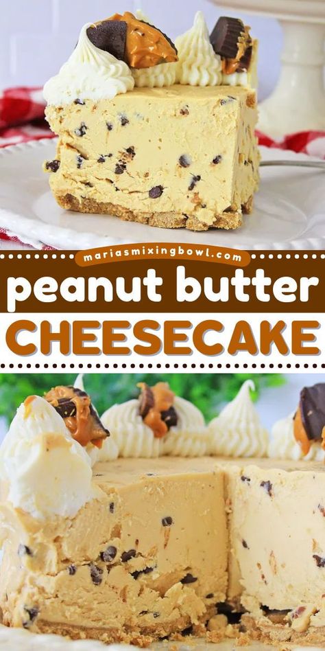 Satisfy your craving with this no-bake peanut butter cheesecake! This easy-to-make sweet treat is a winner. Creamy and loaded with chocolate chips, this no-bake cheesecake tastes like peanut butter cups! Save this simple dessert recipe! Peanut Desserts Easy, Plain Cheesecake Topping Ideas, Cheesecake Recipe No Sour Cream, Cheesecake Pudding Recipes, No Bake Peanut Butter Cheesecake, No Bake Cheesecake Recipes, No Bake Cheesecakes, No Bake Peanut Butter, Baked Cheesecake Recipe