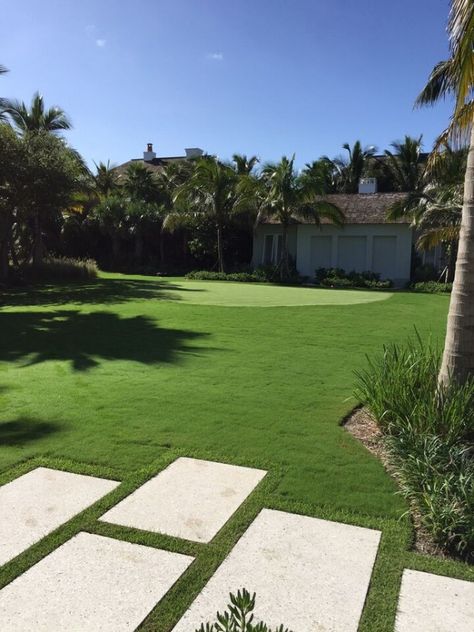 Latitude 36 Bermuda Grass. High traffic tolerant, cold hardy, really good grass Homestead Layout, Tiny Shells, Grass Landscape, Landscaping Projects, Tavern On The Green, Bermuda Grass, Yellow Cloud, Astro Turf, White Building