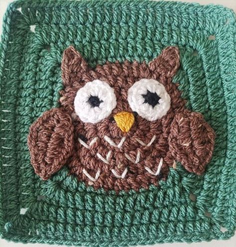 Crochet Woodland Owl Dishcloth Crochet Owl Pattern, Crochet Woodland, Owl Throw Pillows, Crochet Owl Hat, Woodland Owl, Owl Applique, Owl Crochet Patterns, Crocodile Stitch, Owl Pattern