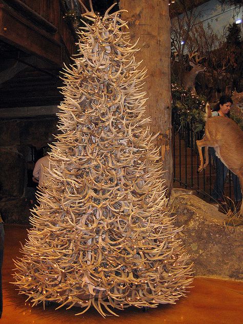 a deer antler tree by ashleyv, via Flickr Deer Antler Tree, Deer Antler Ideas, Antler Christmas Tree, Antler Tree, Deer Hunting Decor, Antler Projects, Deer Antler Crafts, Antler Ideas, Deer Antler Decor